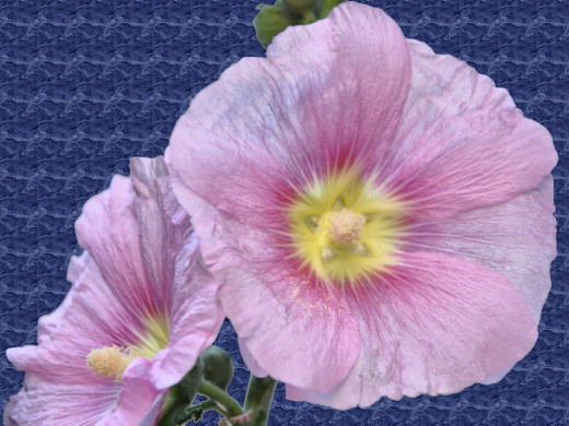 429152 (a): :1600x1200